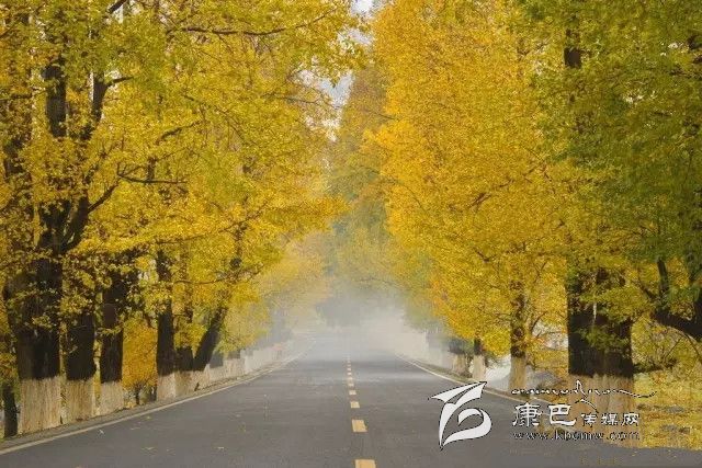 康定新都橋，有一條黃金大道通往夢中的天堂