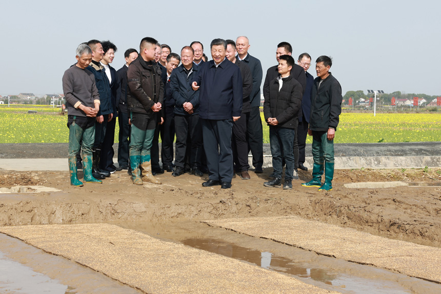 2024年3月18日至21日，中共中央總書記、國家主席、中央軍委主席習(xí)近平在湖南考察。這是19日下午，習(xí)近平在常德市鼎城區(qū)謝家鋪鎮(zhèn)港中坪村走進田間，察看秧苗培育和春耕備耕進展。新華社記者 王曄 攝